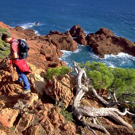 La Potiniere Апартаменты Сен-Рафаэль